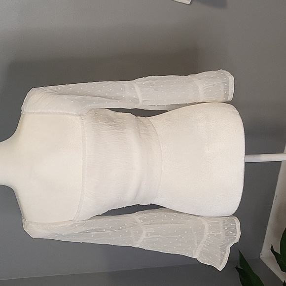 Yilibasha White Full Sheer Sleeve Side Zip Swiss Dot Boho Crop Top - Size S - Picture 3 of 15